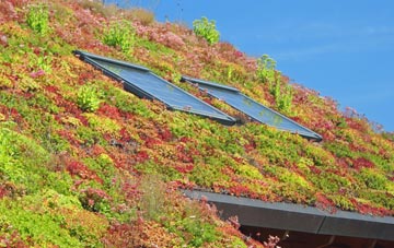 Synod Inn living roof systems