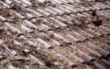 Synod Inn roof cleaning companies