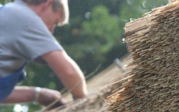 professional Synod Inn thatchers