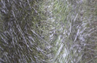 Synod Inn fibreglass roof work